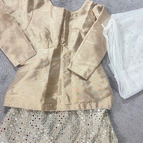 Lehanga choli - Picture 6 of 6